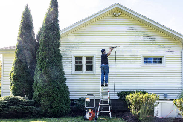Best Pressure Washing Siding  in Martinsville, NJ